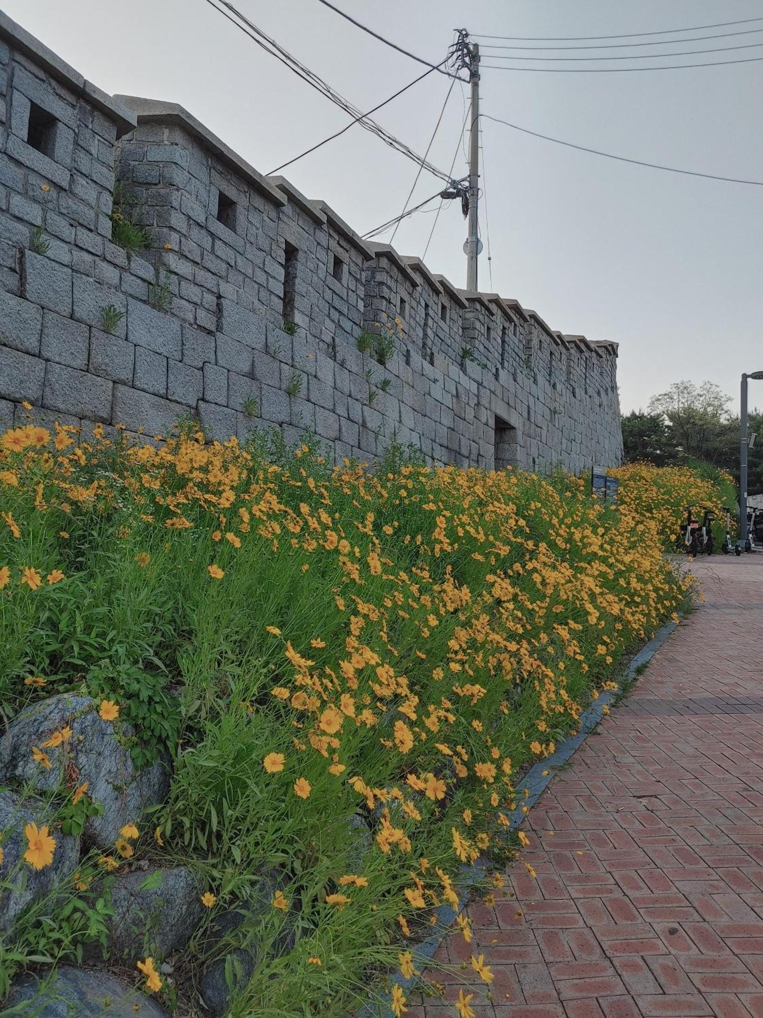 Cobe Dongdaemun Guest house Seoul
